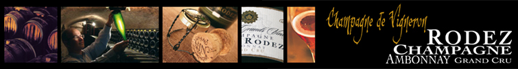 Vigneron en champagne